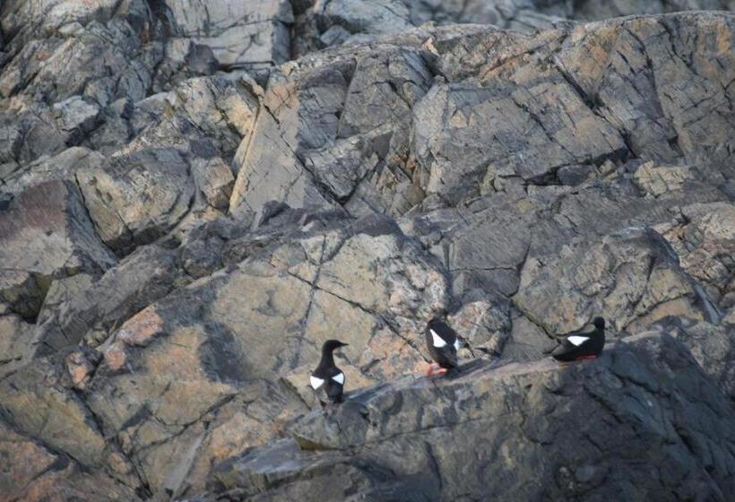 منتجع Seascape Coastal Retreat   Adults Only   Hot Tubs