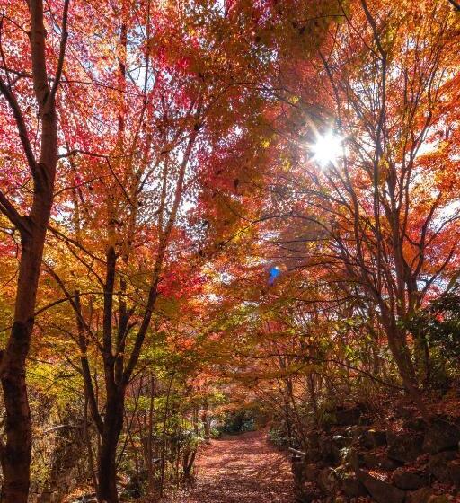 日式旅馆 Iwasuso