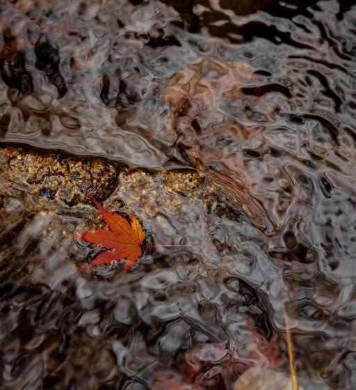 日式旅馆 Iwasuso