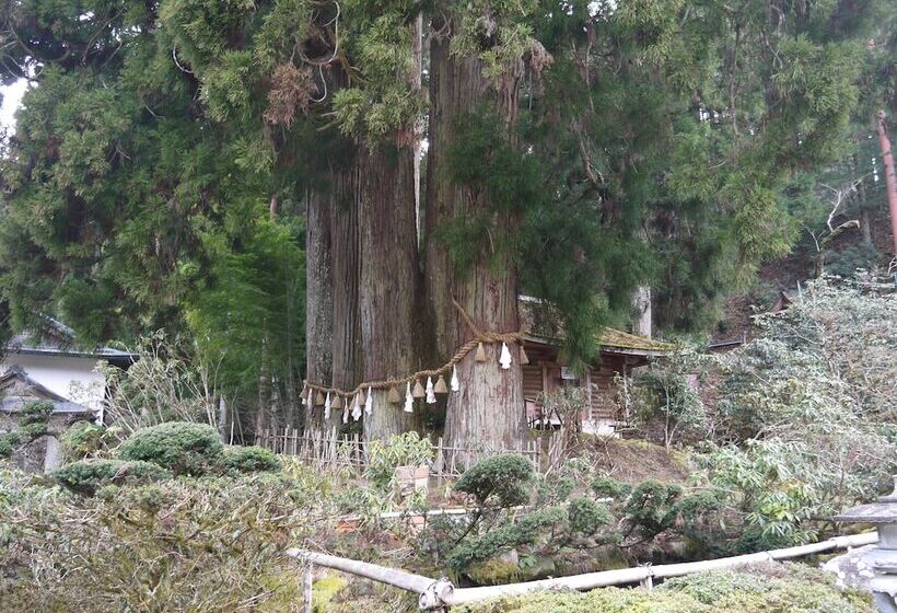 ريوكان Kongo Sanmaiin