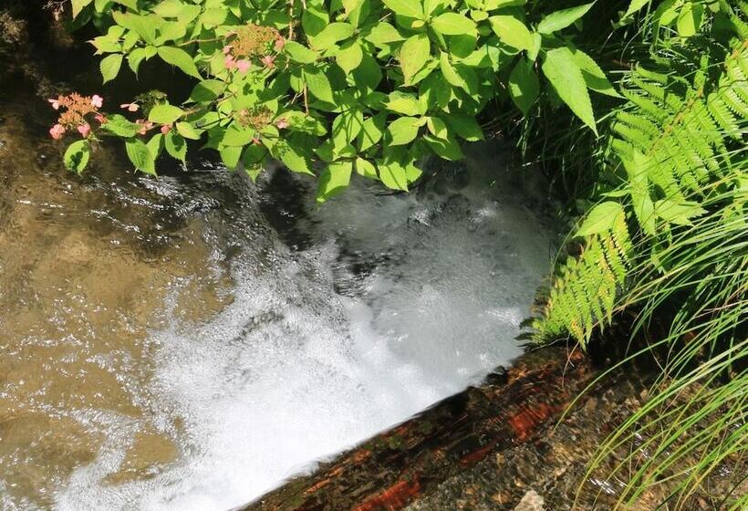 ריוקאן Kose Onsen