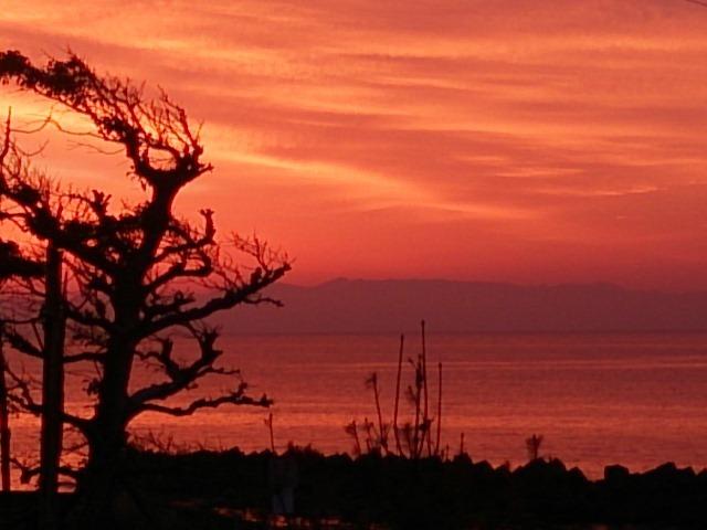 Maguro No Oyado Ishigami Hot Spring Ryokan
