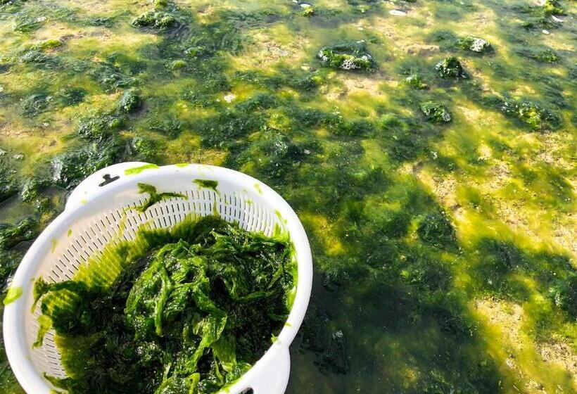 료칸 Minshuku Irayoi