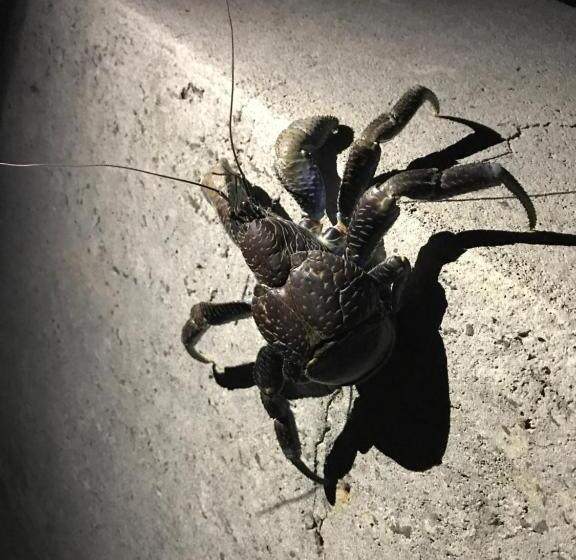 日式旅馆 Minshuku Irayoi