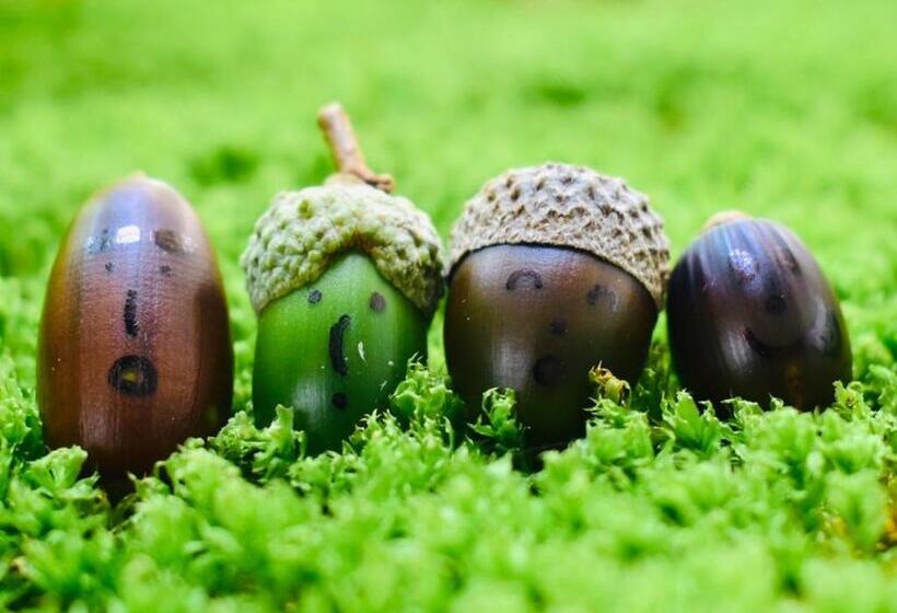 Ryokan 筋肉と自然と遊ぶ宿 田島館