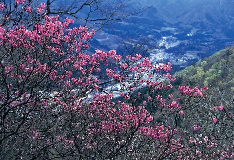 ריוקאן Yama No Yado Shimofujiya