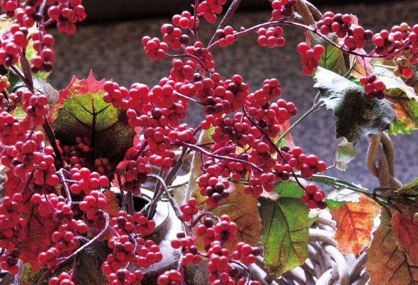 ריוקאן Yama No Yado Shimofujiya