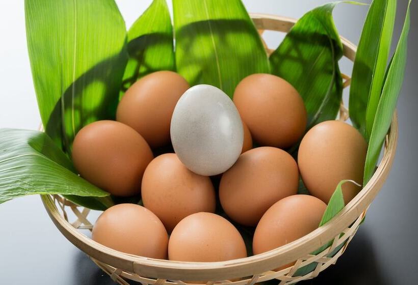 ריוקאן Yama No Yado Shimofujiya