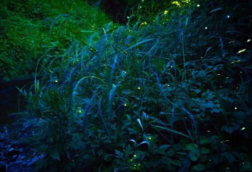 日式旅馆 Yamayuri No Yado