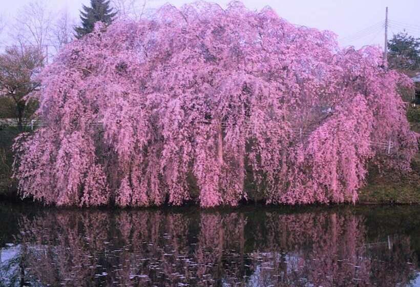 日式旅馆 Yamayuri No Yado