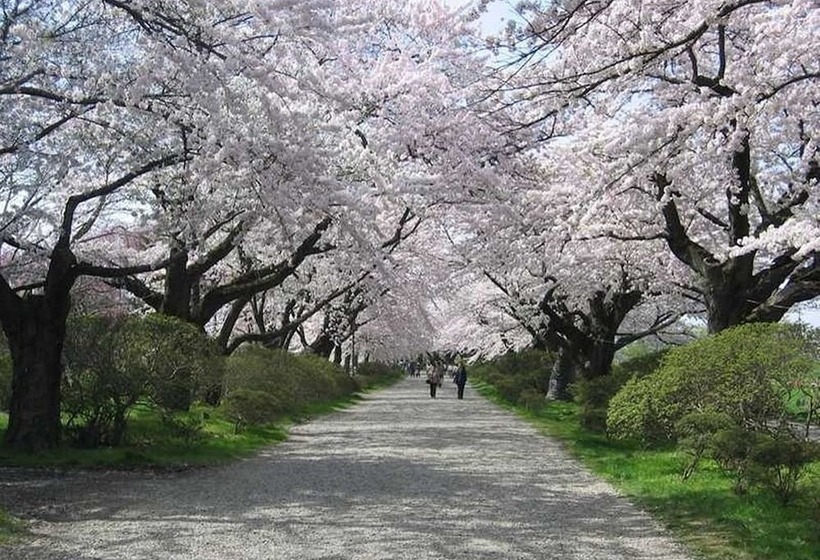 日式旅馆 Yamayuri No Yado