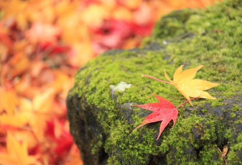 ريوكان Yutorelo An