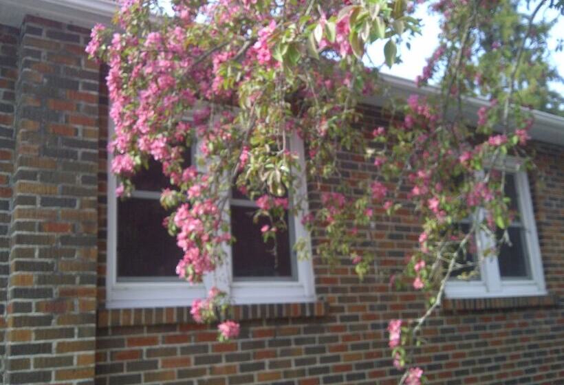 Susan S Sanctuary Bed & Breakfast