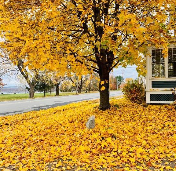 The Colonel's In Bed And Breakfast