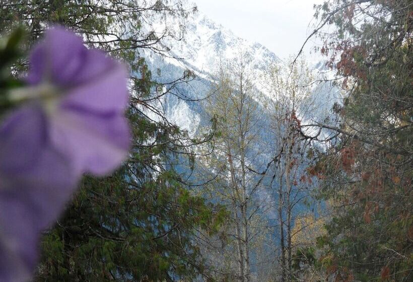 The Hitching Post Motel