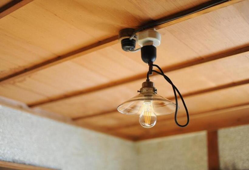 הוסטל 1166 Backpackers