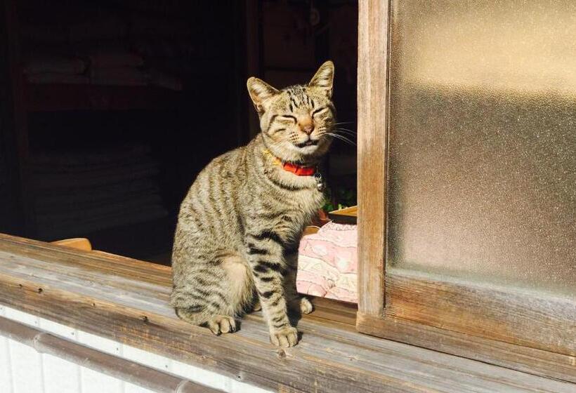 فندق صغير Buddha Guest House