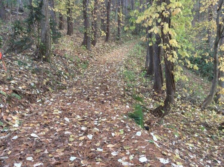 Общежитие Niseko Tabitsumugi Backpackers