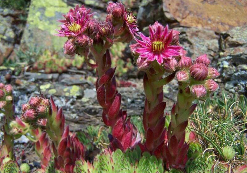 Albergue Turístico Briz