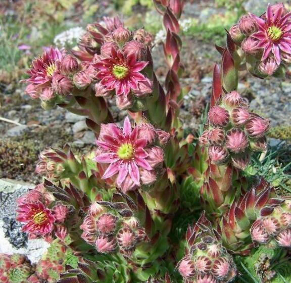 Albergue Turístico Briz