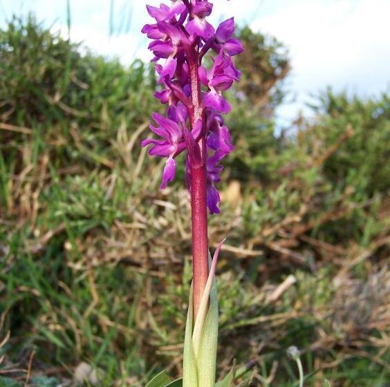 Albergue Turístico Briz