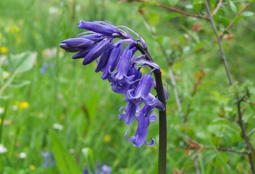 Albergue Turístico Briz