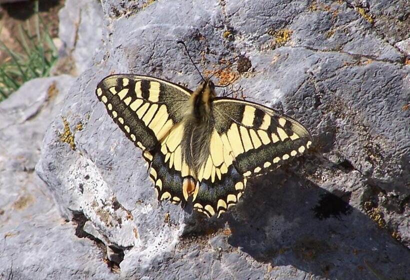 Albergue Turístico Briz