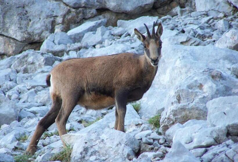 Albergue Turístico Briz