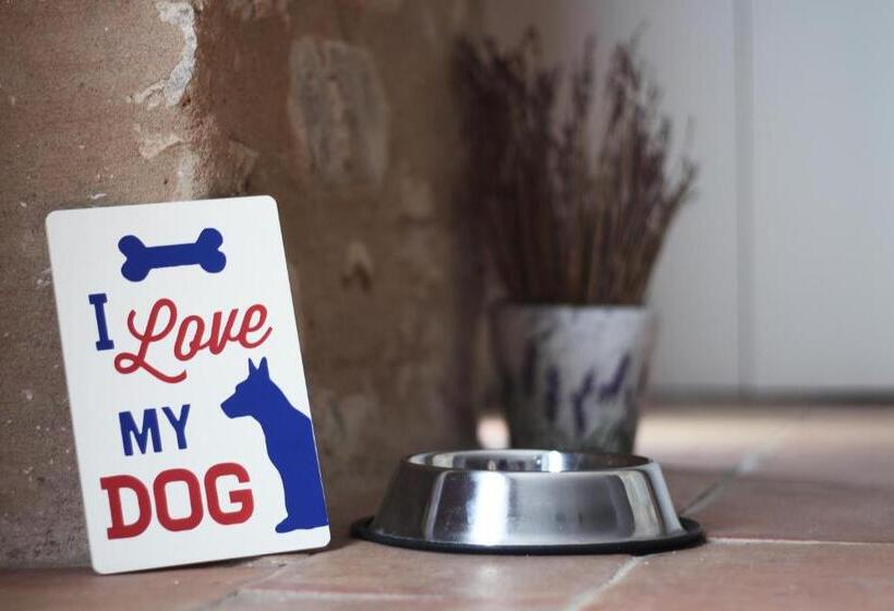 تختخواب و صبحانه Can Bo De Pau