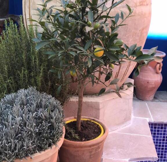 مبيت وإفطار Casa Aire De Lecrin