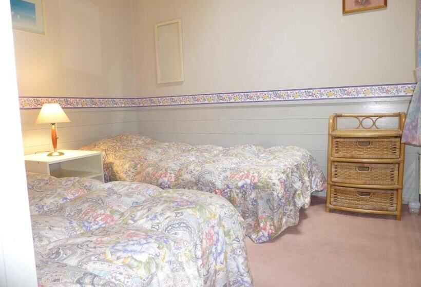 مبيت وإفطار St Village