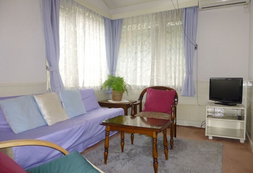 مبيت وإفطار St Village