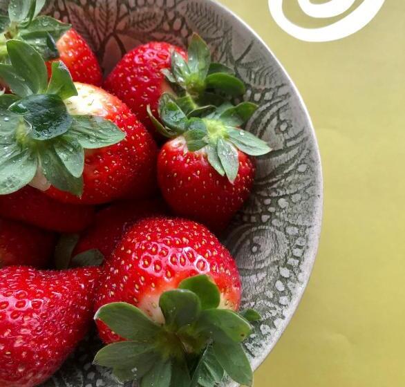 住宿加早餐 Finca El Otero