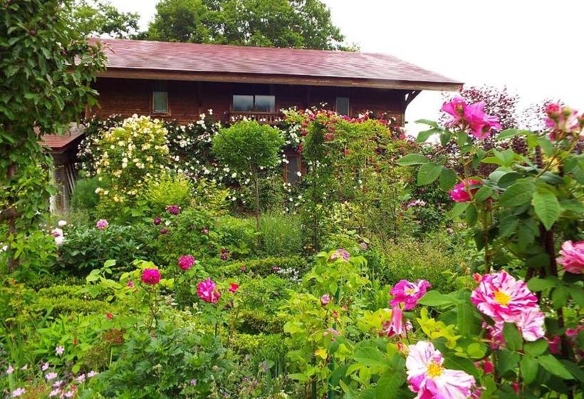 민박 Pension Apple