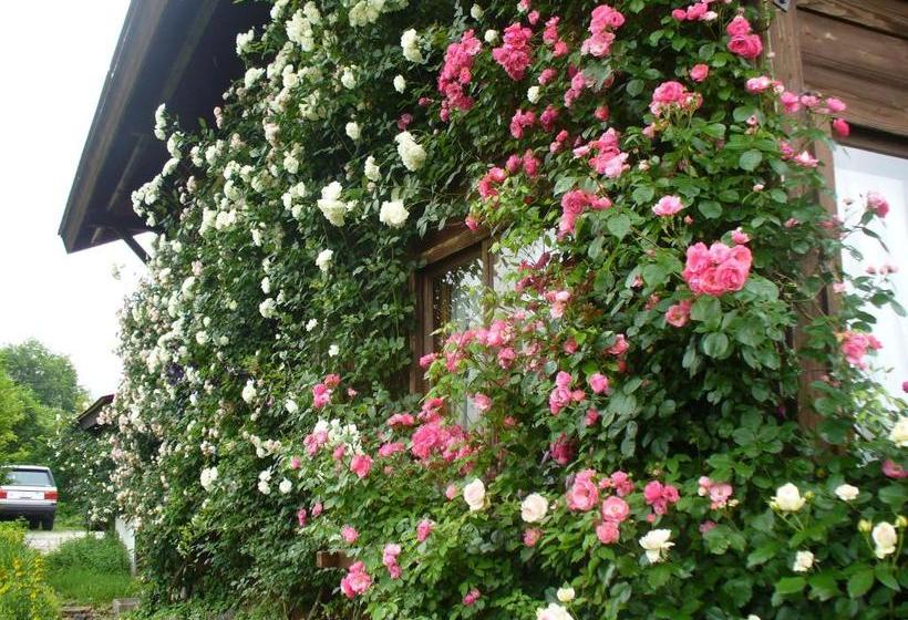 민박 Pension Apple