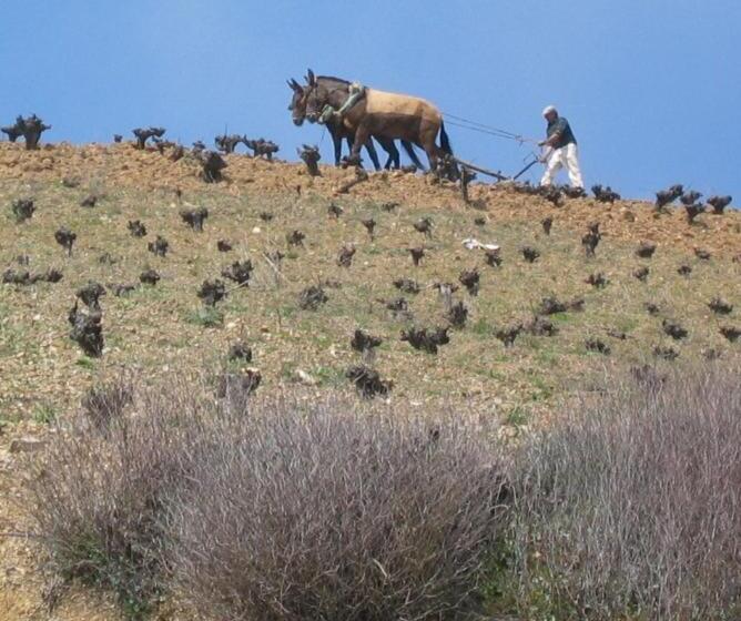 مبيت وإفطار Sierra Y Mar