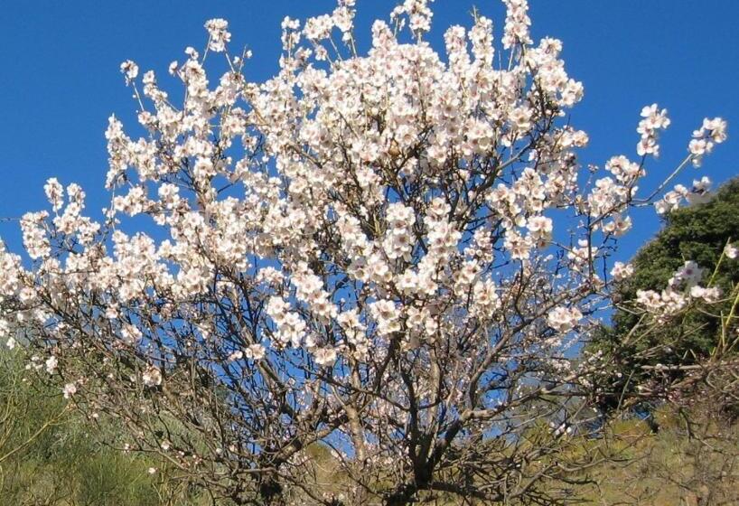 مبيت وإفطار Sierra Y Mar