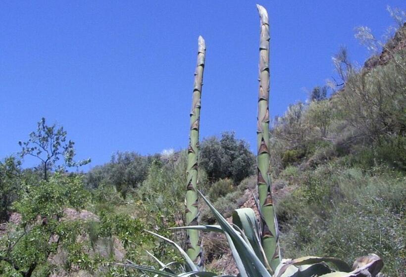 مبيت وإفطار Sierra Y Mar