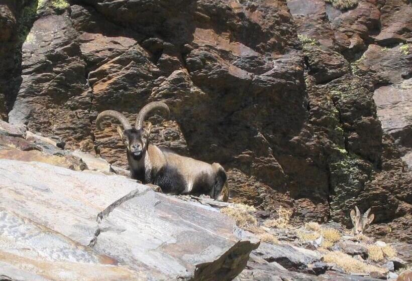 مبيت وإفطار Sierra Y Mar