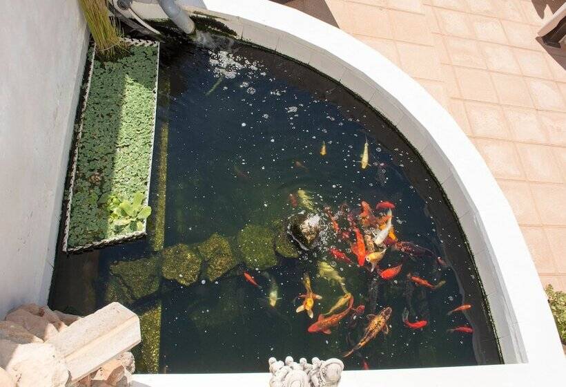 צימר Casa Lanjaron