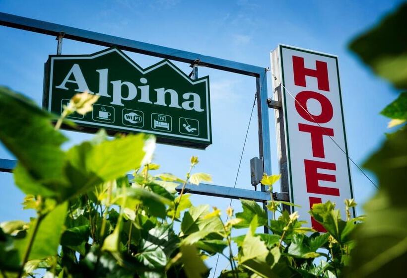 Отель Alda Alpina