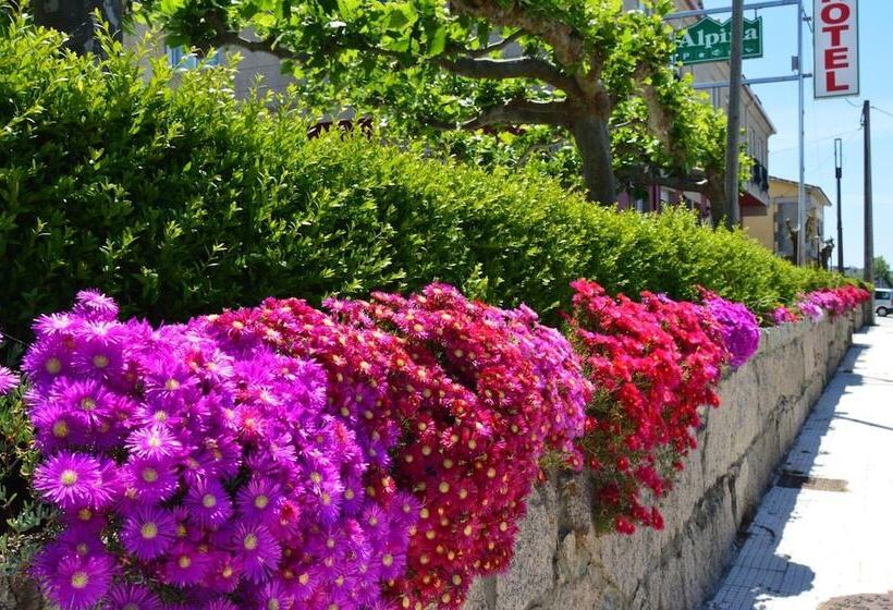 Отель Alda Alpina