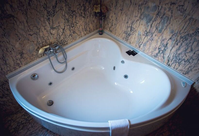 Отель Alda Alpina