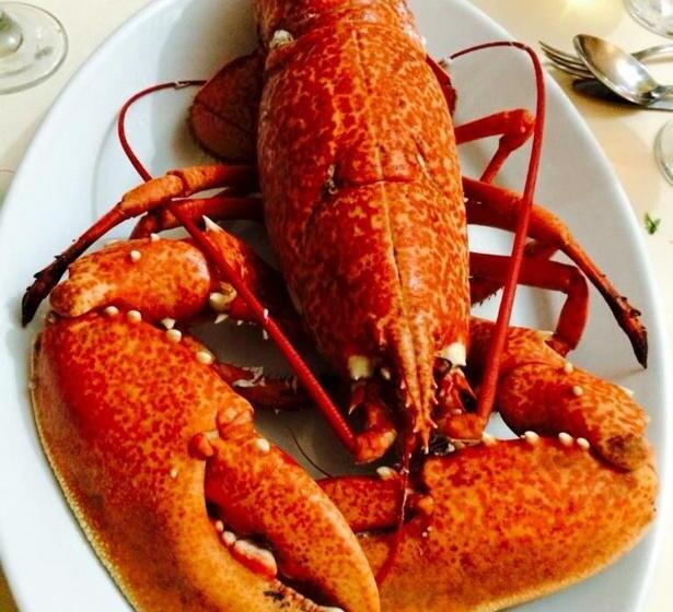 בית מלון כפרי Cortijo Las Grullas