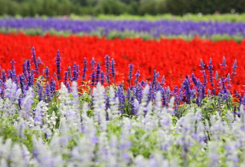 هتل Furano La Terre