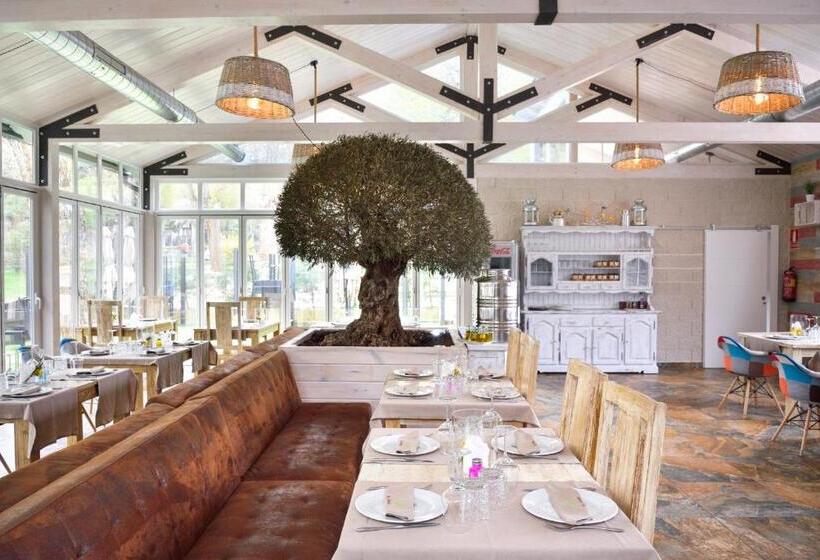 酒店 Habitaciones Premium Finca La Casona