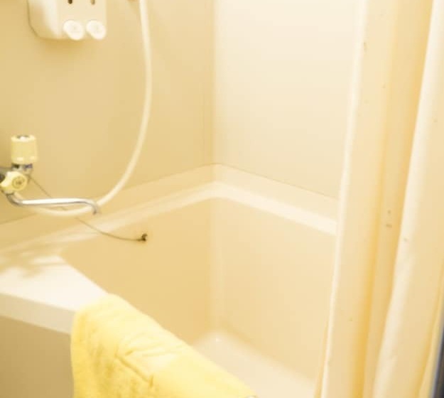 فندق Hikone Station