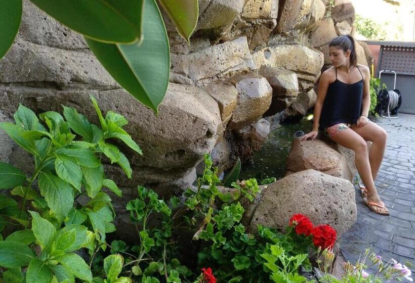 호텔 Hostal Sant Roc