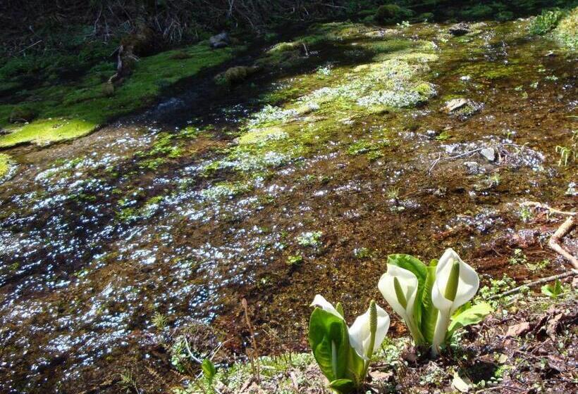 ホテル La Montagne Furuhata