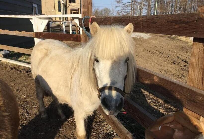 בית מלון כפרי Lodge Romulus